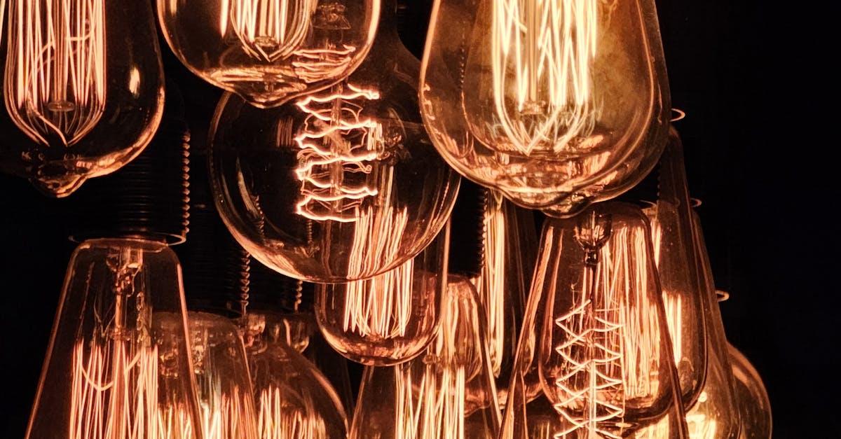 What are the 3 common organizational designs?