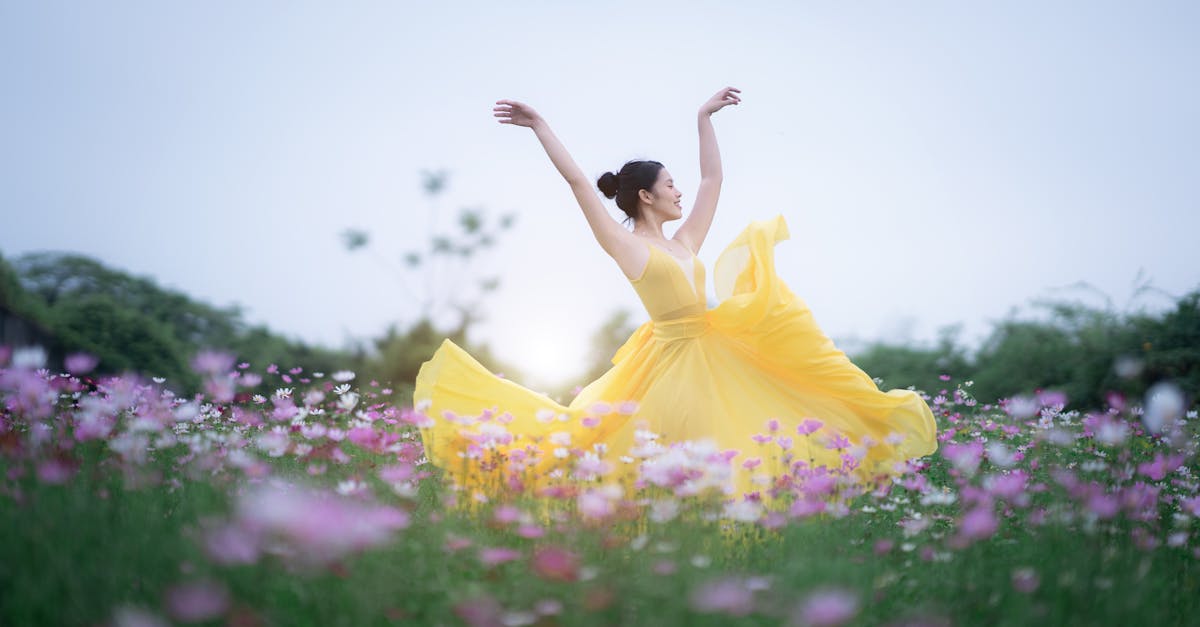 What are the 4 major components of the performance management process?